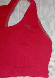 34b Sports Bra