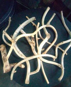 Drift Wood Pieces