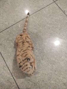Combo - Tiger  + Tedy Bear + Doll