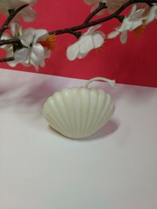 1 pcs Scented Shell Candles made from Soy Wax