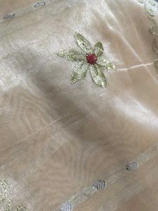 Tissue/Art Silk Saree