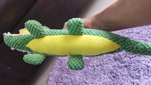 Imported Alligator 🐊 Sound Toy