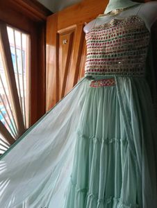 Elegant Bottle  Green Embroidered Dress