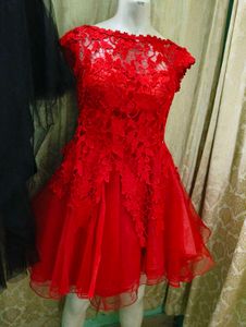 Red Lace Mini Dress