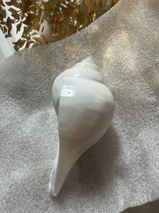 JINALI GEMS Blowing Shankh for Pooja, Blowi