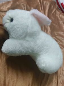 Rabbit Pluffy