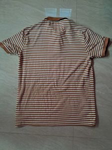 Striped Polo Shirt✨️💛🫶🏽