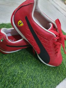 Puma Ferrari New Shoes