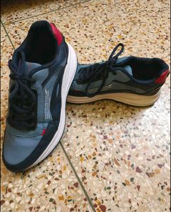 Asian Sports Shoes For Men, Women, Children