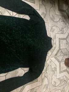 Green Shimery Top
