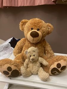 Combo Of Teddy Bear 🧸