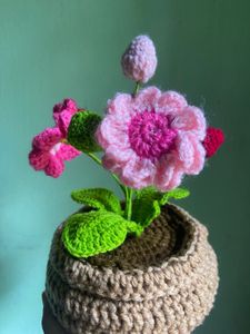 Crochet Flower Pot