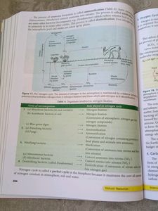 Biology Class 9