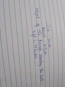 Olive Green Wide Leg Pants