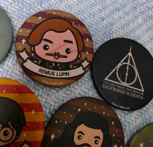 Harry Potter Souled Store Badges