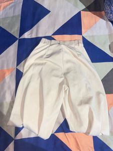 Beige Pleated Trousers