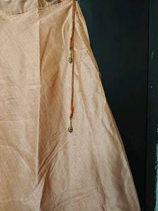 Elegant Ethnic Skirt