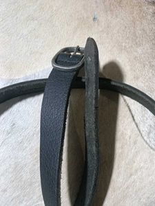 Fastrack OG Surplus Belt For Women&#39;s