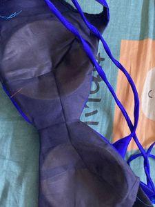 Elegant Blue Saree padded Blouse