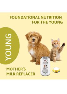 Combo Offer (Pack Of 4)