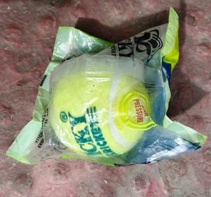 Vicky Cricket Ball - New