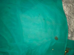 Elegant Teal Embellished Saree