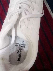 Very Classy White Sneakers