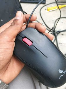 Mouse
