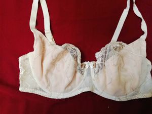 🇳🇿💫💗 Imported Stuff Non Paded Bra