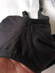Pack Of 3 Bra
