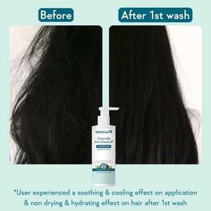 WishCare AHA BHA Anti-Dandruff Shampoo