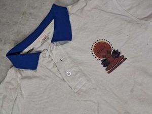 Vibrant Casual Polo Tshirt Men