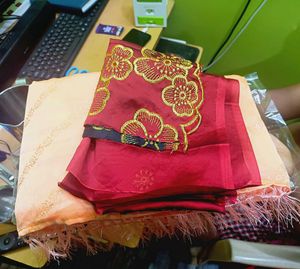 Trending blouse concept saree