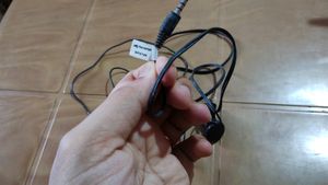 Micromax Earphones