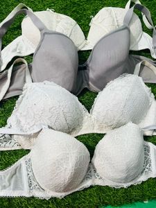 38 D/Dd Size