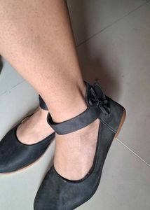 Cute Bowed Black Bellies