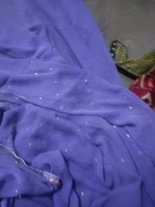Purple & Gold Saree