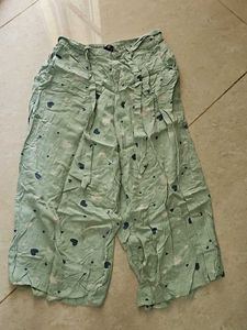 Fig Plazo Pant