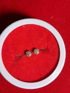 Elegant Stud Earrings very Shaining