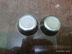 Steel Bowls (Set of 2)