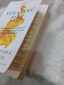 Stealing Fire Book