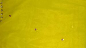 Elegant pink  &amp; Yellow Floral Saree with blouse (3