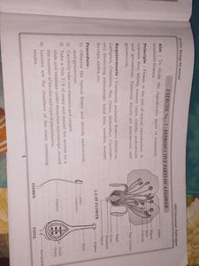 Biology Lab Manual II PUC