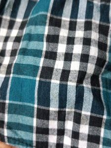 Check Green Shirt