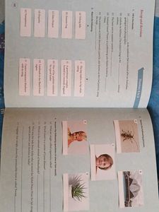 Next General Knowledge - Grade 7