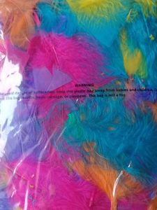 Decorative Feather