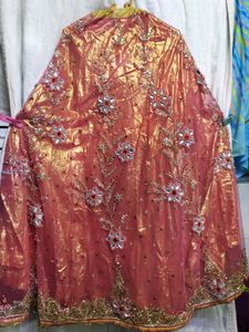 Beautiful Lehenga Choli It Is Shining ✨🌺