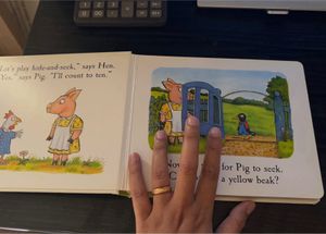 Hide And Seek Lift Flap Book