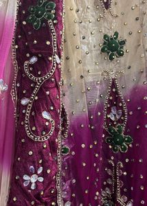 Embellished Lehenga Choli
