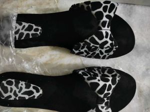 Black Sleeper / Sandel